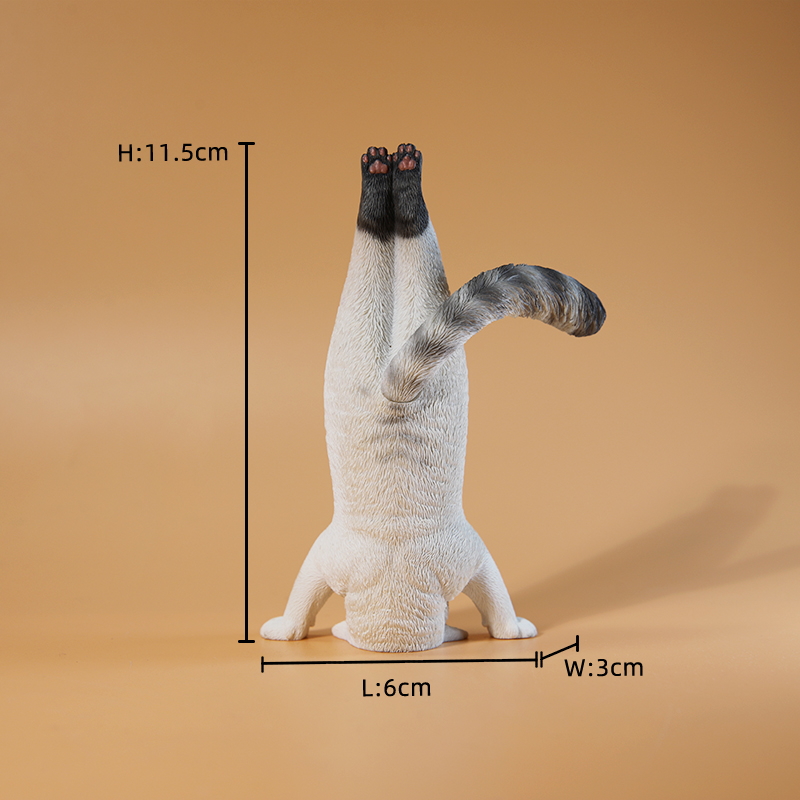 1/6 Scale Mini Simulated Fitne - Yoga In Fitness First review and price
