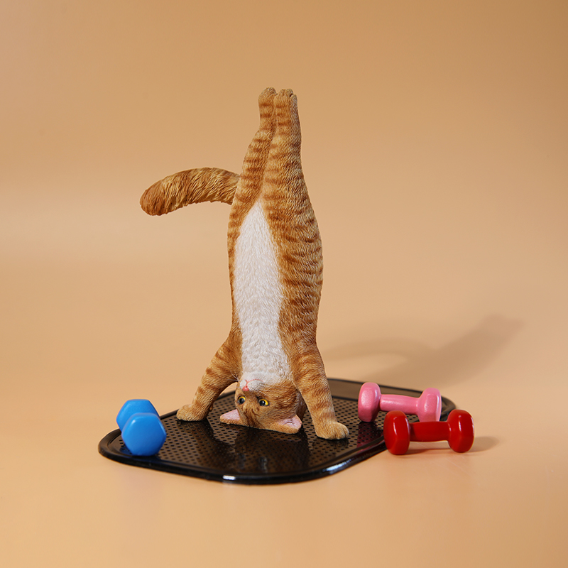 1/6 Scale Mini Simulated Fitne - Yoga In Fitness First review and price