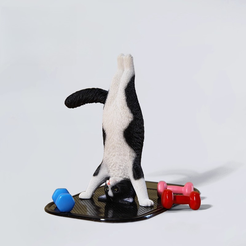 1/6 Scale Mini Simulated Fitne - Yoga In Fitness First review and price